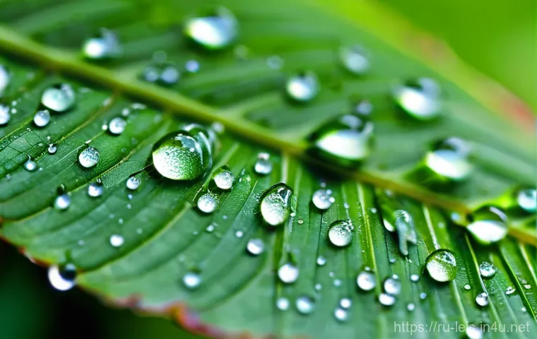 초보자를 위한 레저 사진 촬영법 - **Prompt:** A bustling street scene in the heart of St. Petersburg at dusk. The iconic neoclassical ...